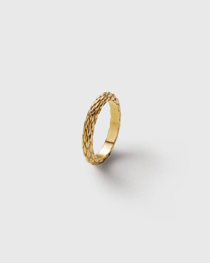 Viper Ring Gold, Wildsons, Product Image